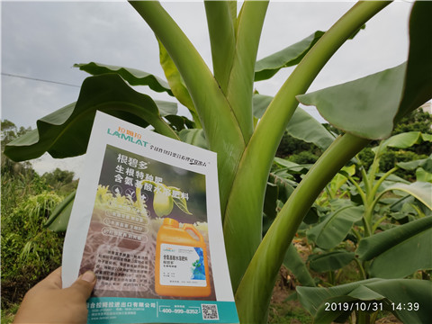 葉面肥，微生物菌劑，硼肥，水溶肥