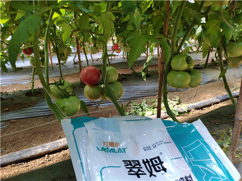 水溶肥，