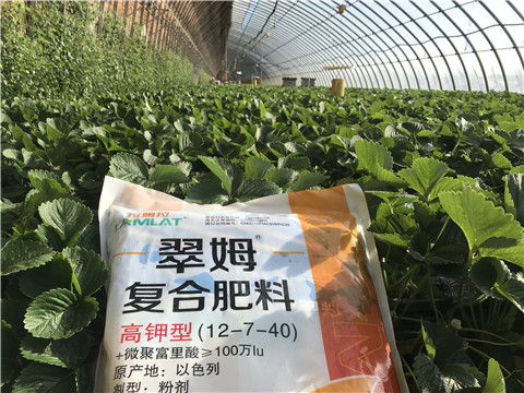 水溶，拉姆拉，翠姆