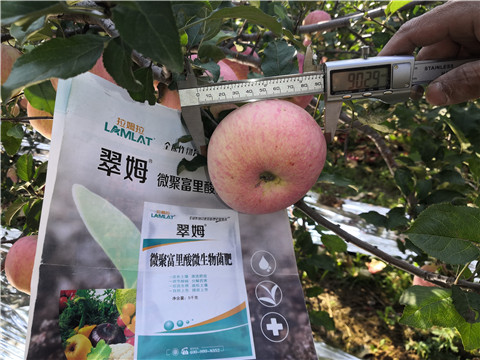 水溶肥，磷酸二氫鉀，微生物菌劑