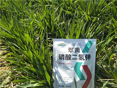 磷酸二氫鉀，葉面肥，拉姆拉