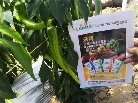 復(fù)合肥料，拉姆拉