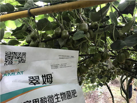 微生物菌劑，平衡顆粒復合肥，翠姆，拉姆拉