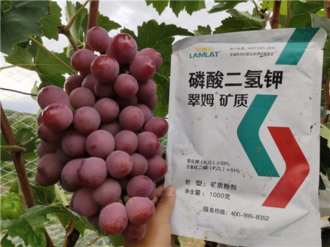 進口水溶肥，拉姆拉，翠姆