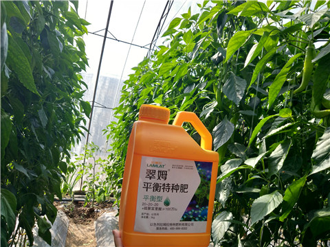 滴灌肥，拉姆拉，翠姆