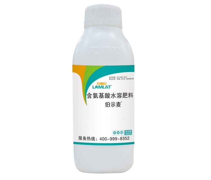 葉面肥，拉姆拉，伯示麥