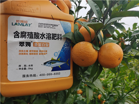 水溶肥，拉姆拉，翠姆