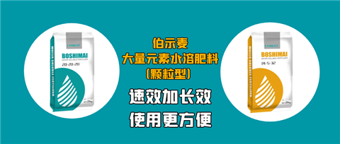 顆粒肥，拉姆拉，翠姆