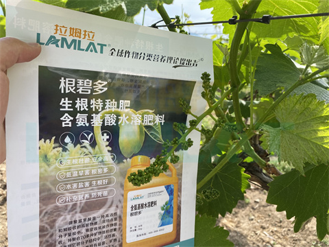 水溶肥，拉姆拉，翠姆